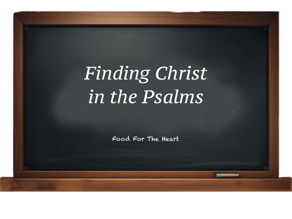 Psalm 8:3‑9 — The Majesty of God and Humanity’s Crown – Moe Bergeron